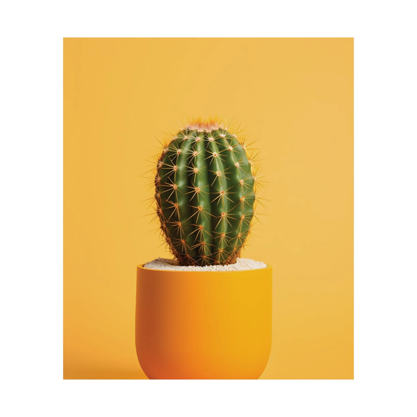 Cactus plant Matte Vertical Posters