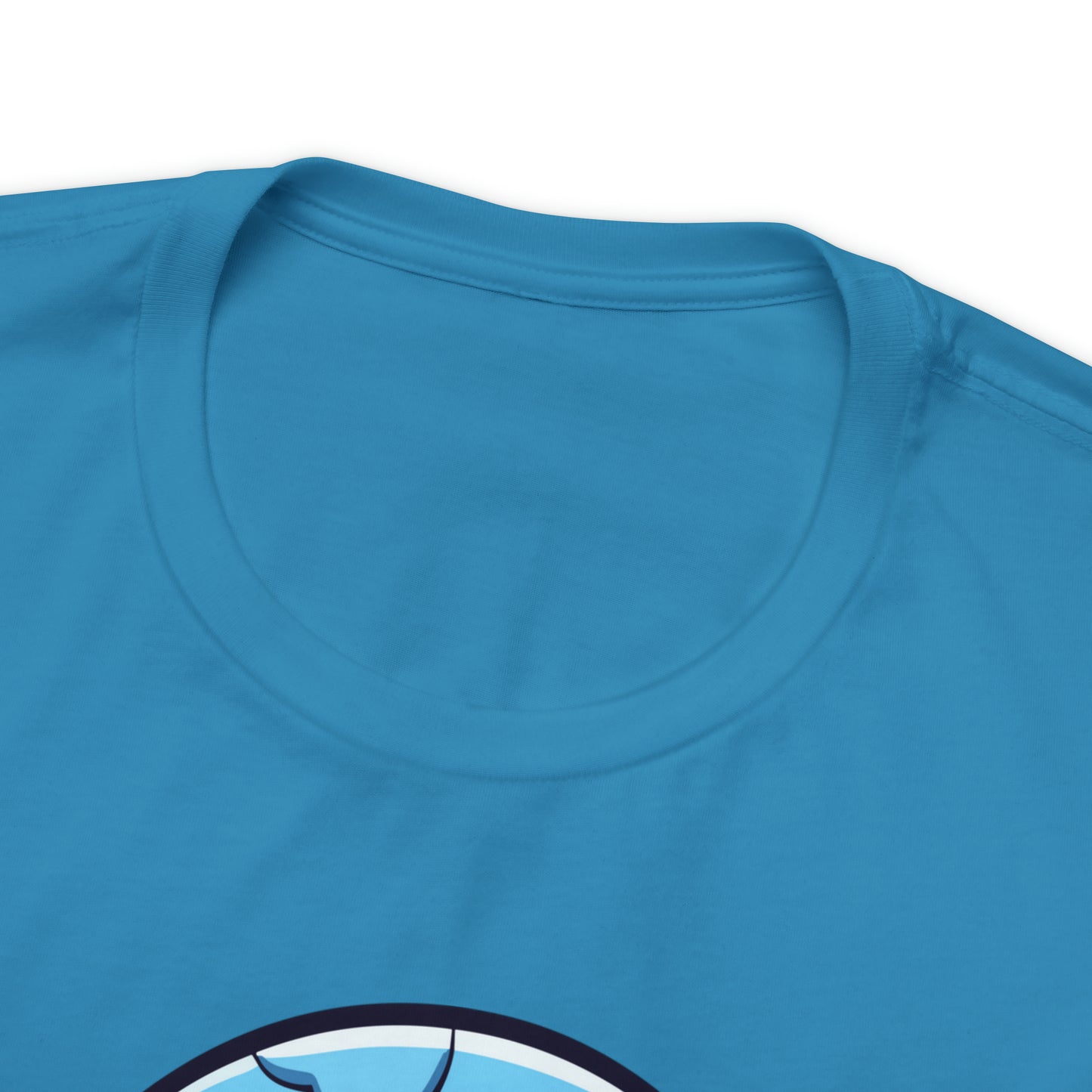 Bluey Turtle T-Shirt